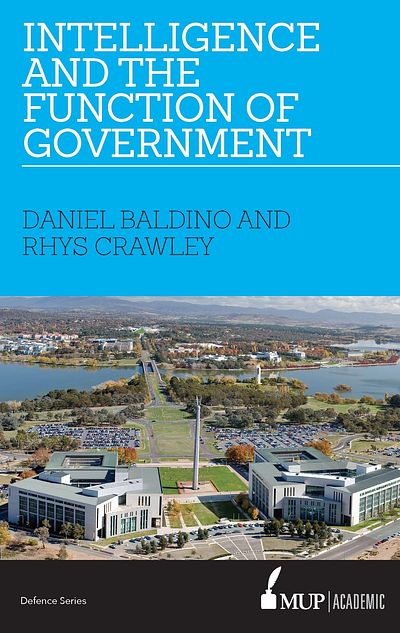 Intelligence and the Function of Government