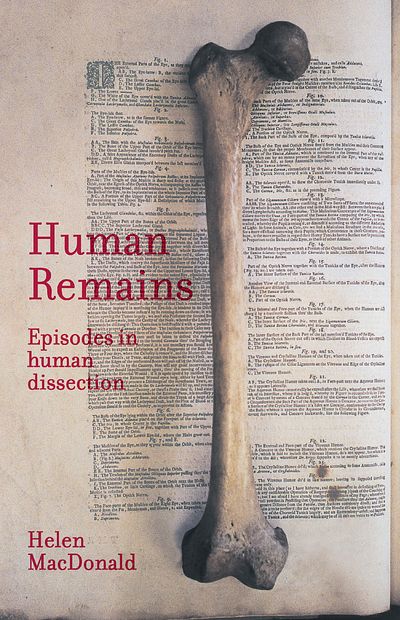 Human Remains