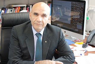 Amin Saikal